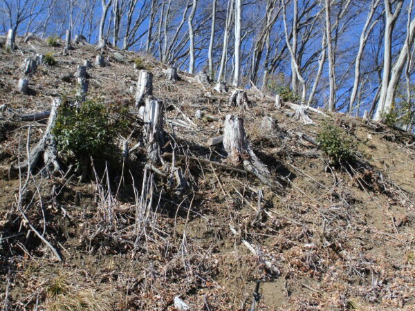 98SH6・久々に持ち出しました・